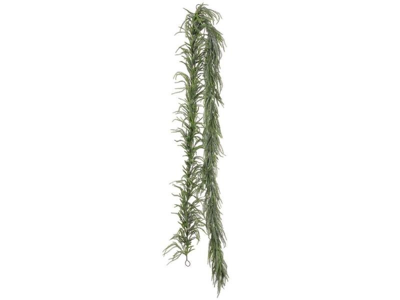 144" Green Spruce Norfolk Pine Garland - Holiday Warehouse