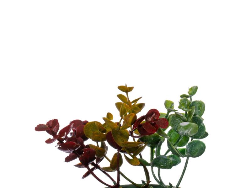 18" Red and Green Spiral Artificial Eucalyptus Wreath - Holiday Warehouse