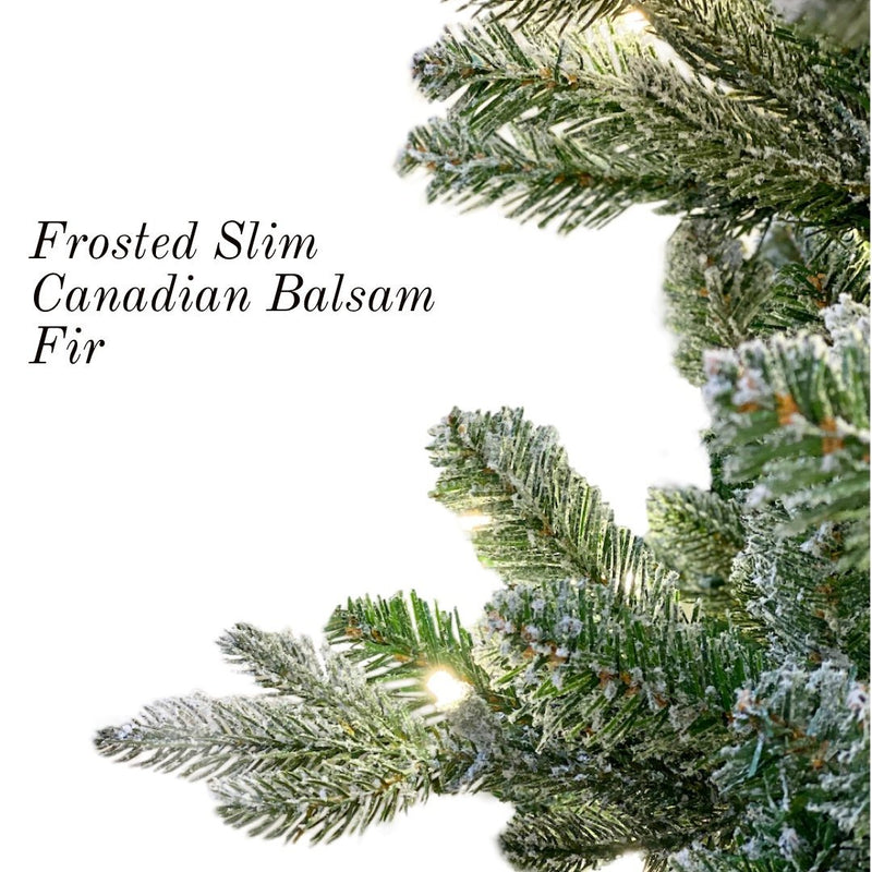 7.5ft x 42" Frosted Slim Canadian Balsam Fir Tree w/ WW LED Lights - Holiday Warehouse