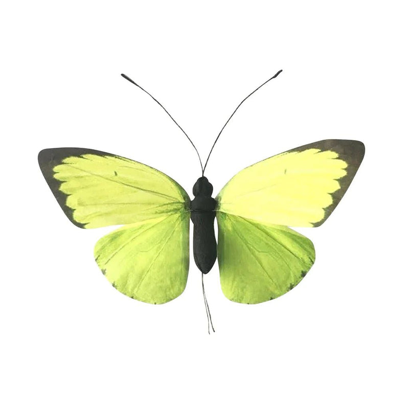 20" Light Green Butterfly 3pc - Holiday Warehouse