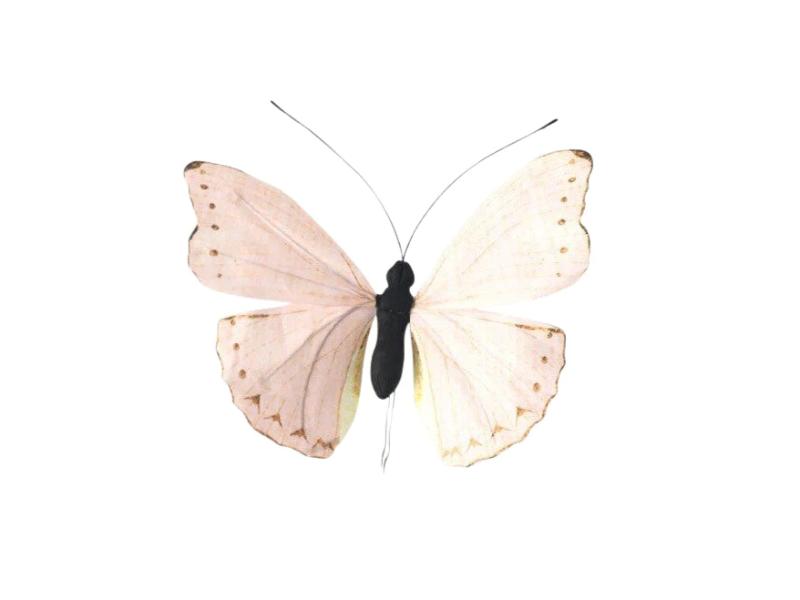 20" Pink Butterfly 3pc - Holiday Warehouse