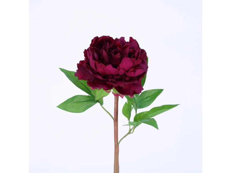 24" Burgundy Natural Touch Peony (12pc) - Holiday Warehouse