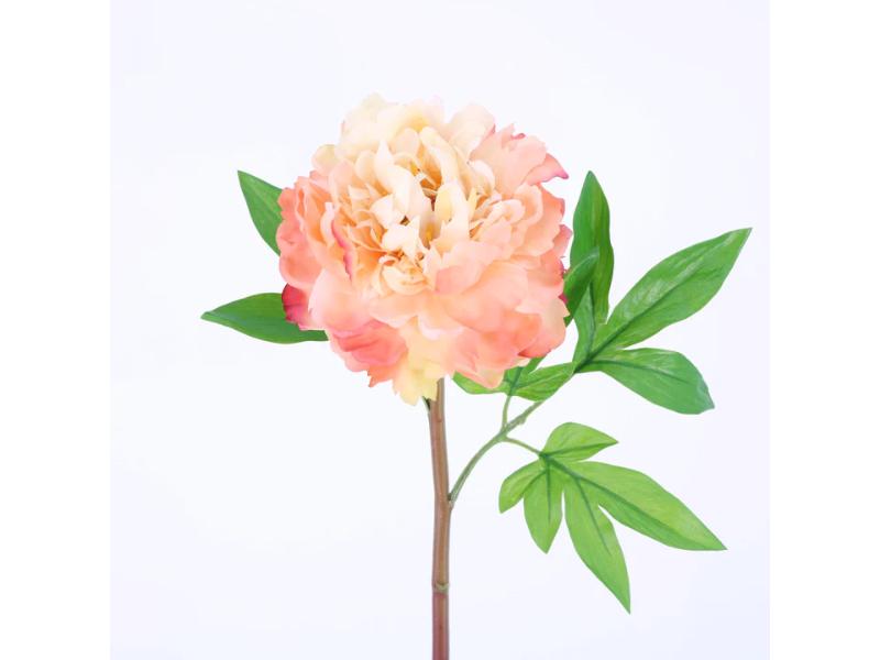 24" Coral Natural Touch Peony (12pc) - Holiday Warehouse