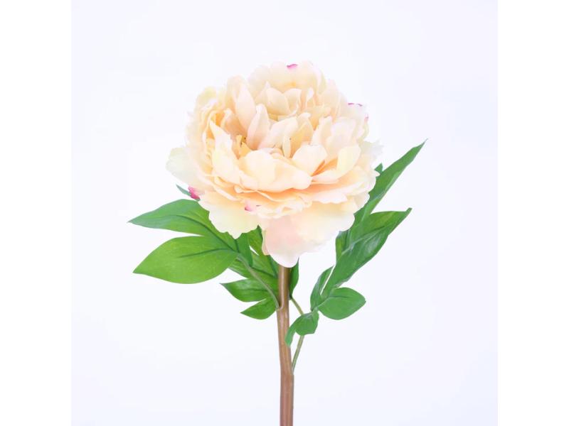 24" Yellow Natural Touch Peony (12pc) - Holiday Warehouse