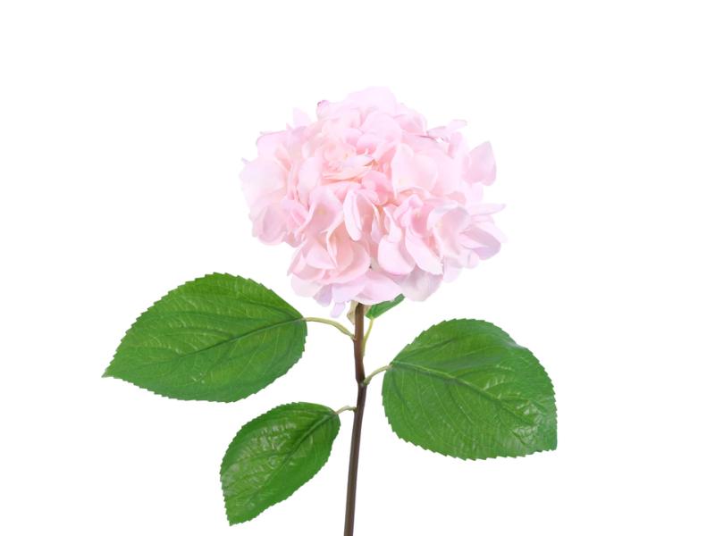 25" Pink Natural Touch Hydrangea (12pc) - Holiday Warehouse