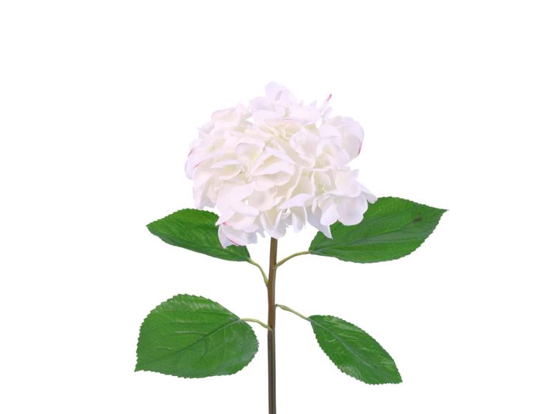 25" White Natural Touch Hydrangea (12pc) - Holiday Warehouse