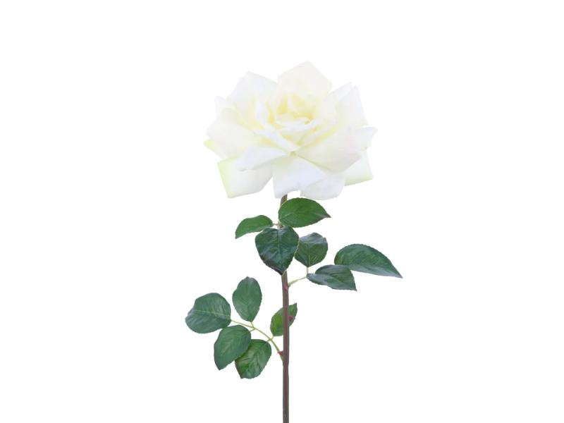 26" Beige White Natural Touch Large Open Rose (12pc) - Holiday Warehouse