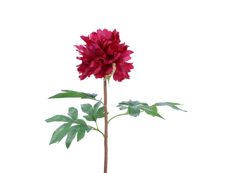 26" Burgundy Natural Touch Japanese Tree Peony (12pc) - Holiday Warehouse