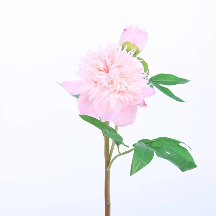 26" Light Pink Natural Touch Herbaceous Peony (Set of 4) - Holiday Warehouse