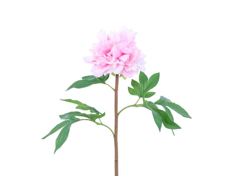 26" Pink White Natural Touch Japanese Tree Peony (12pc) - Holiday Warehouse