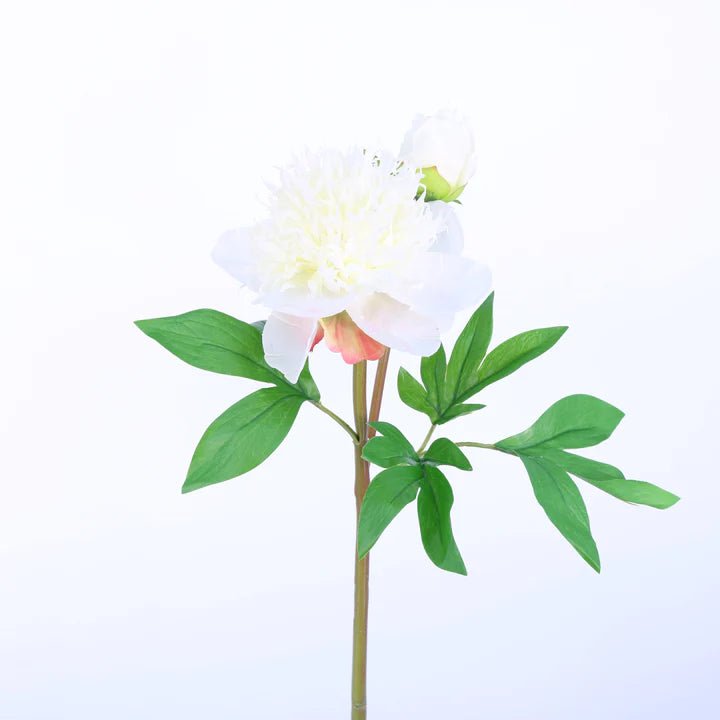 26" White Natural Touch Herbaceous Peony (Set of 4) - Holiday Warehouse