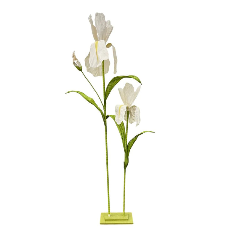 8' Cream Giant Iris x2 with Stand - Holiday Warehouse