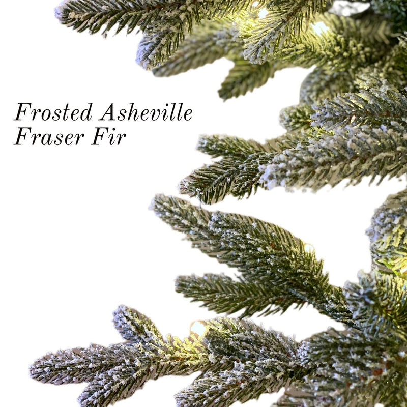 9ft Frosted Asheville Fraser Fir Tree w/ WW LED Lights - Holiday Warehouse