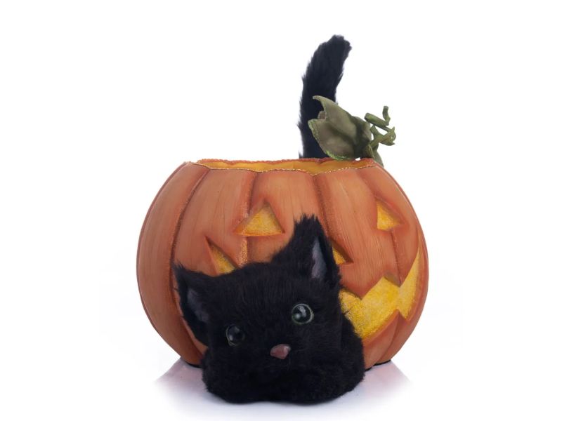 Halloween Hollow Cat in the Candy Bowl - Holiday Warehouse