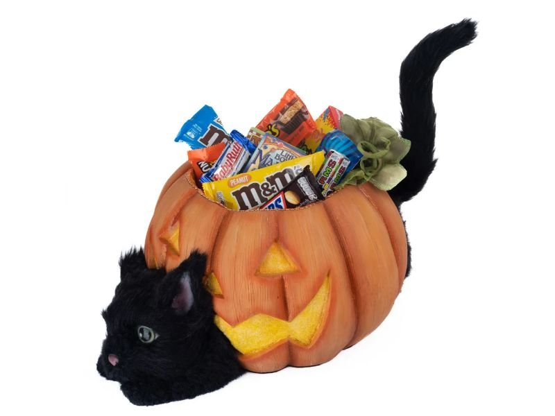 Halloween Hollow Cat in the Candy Bowl - Holiday Warehouse